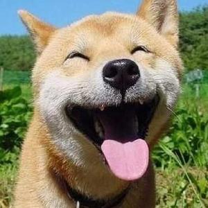 丰满高潮的艳麻麻
